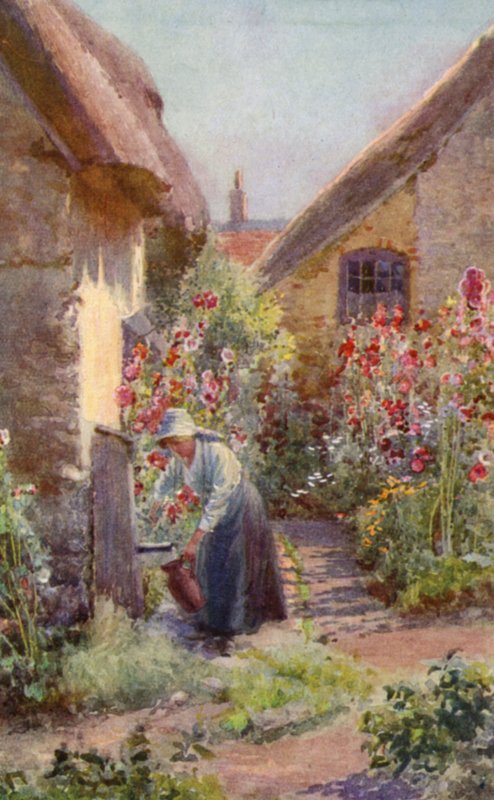 Hollyhocks in a Cottage Garden (barva lito) od Charles Edwin Flower