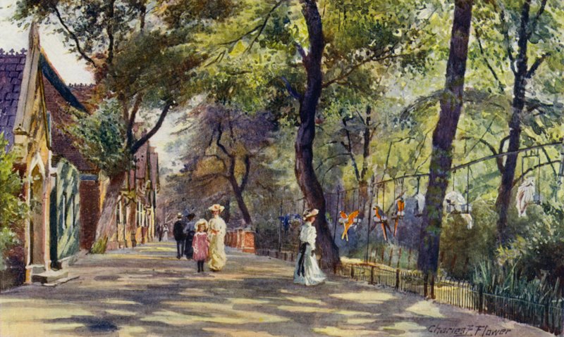 Londýnská zoo: Papouščí a sloní domy (barevné lito) od Charles Edwin Flower