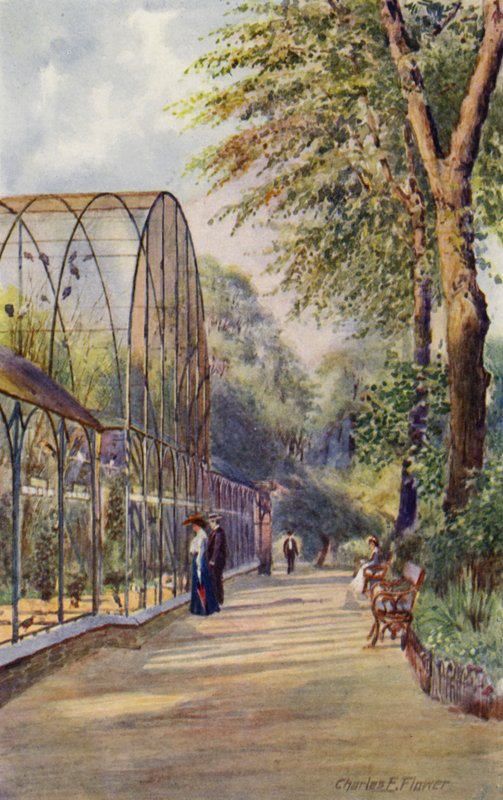 Londýnská zoo: Západní voliéra (barevná lito) od Charles Edwin Flower