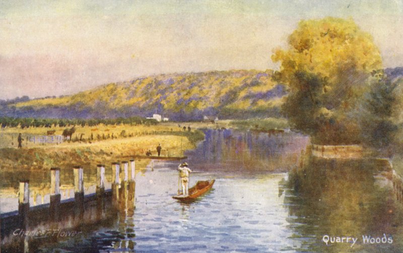 Řeka Temže: Quarry Woods (barevná litografie) od Charles Edwin Flower