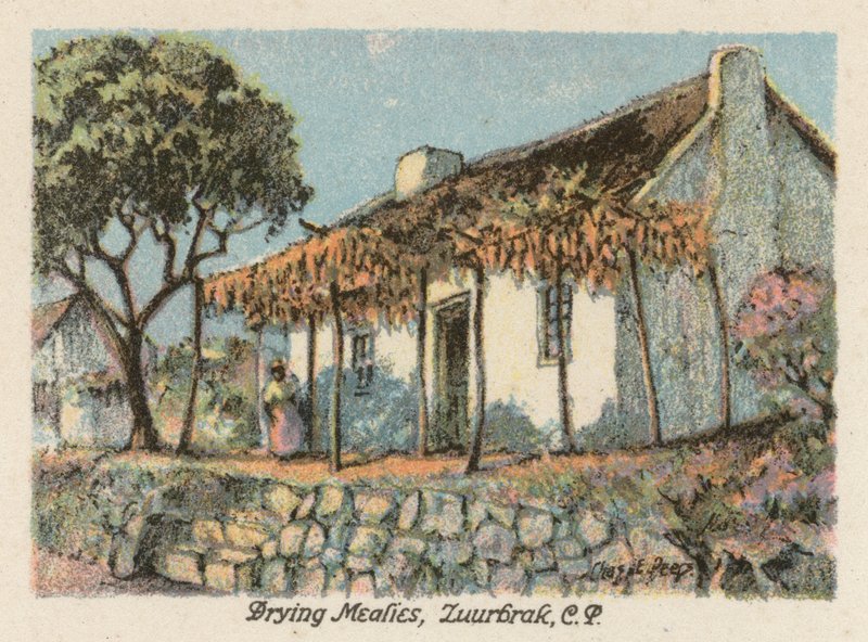 Jihoafrická republika: Sušení mouky, Zuurbrak, CP (barevná litografie) od Charles Ernest Peers