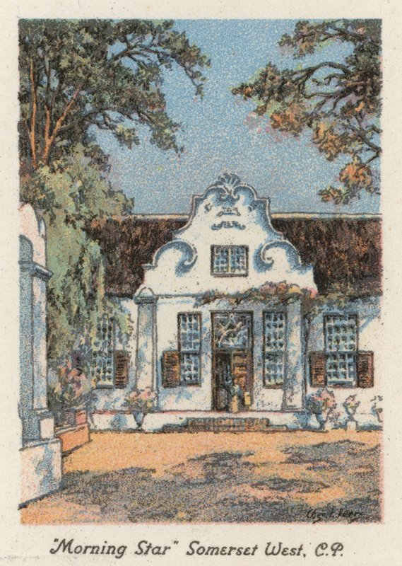 Jižní Afrika: "Morning Star", Somerset West, CP (barevná litografie) od Charles Ernest Peers