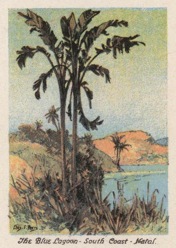 Jihoafrická republika: Modrá laguna, jižní pobřeží, Natal (barevná litografie) od Charles Ernest Peers