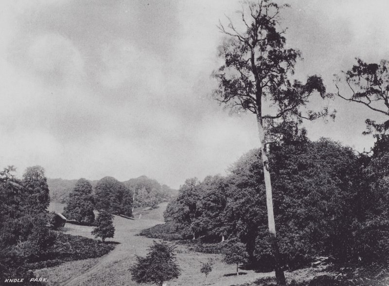Park Knole (čb fotografie) od Charles Essenhigh Corke