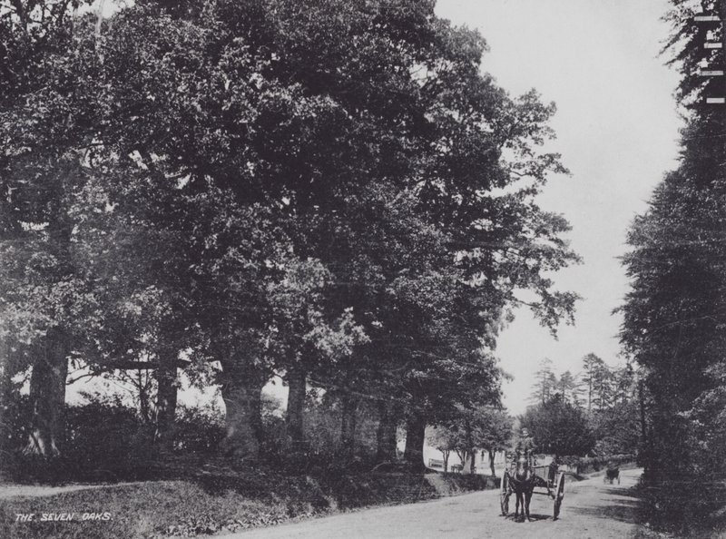 The Seven Oaks (č/b foto) od Charles Essenhigh Corke