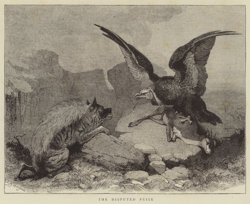 Sporná cena od Charles Harvey Weigall