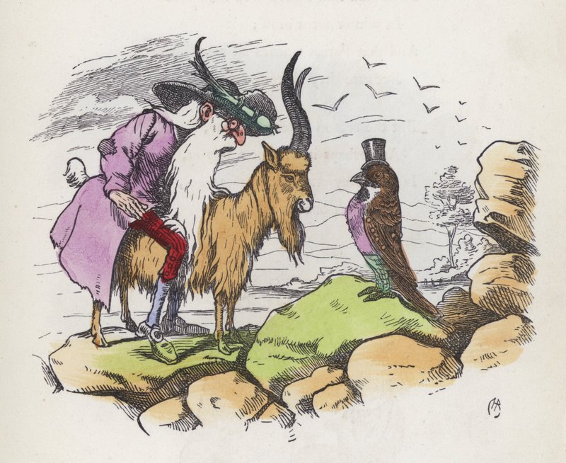 Nanejvýš impertinentní pták (barevná rytina) od Charles Henry (after) Bennett
