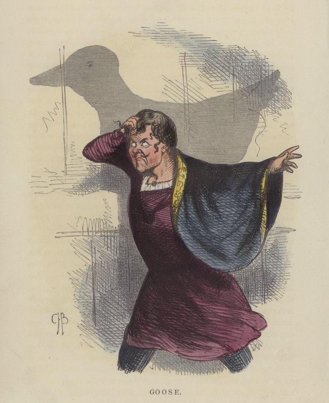 Husa (barevné rytí) od Charles Henry Bennett