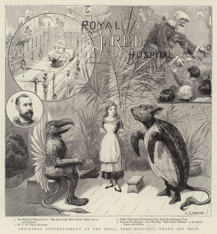 Vánoční zábava v Royal Free Hospital, Gray