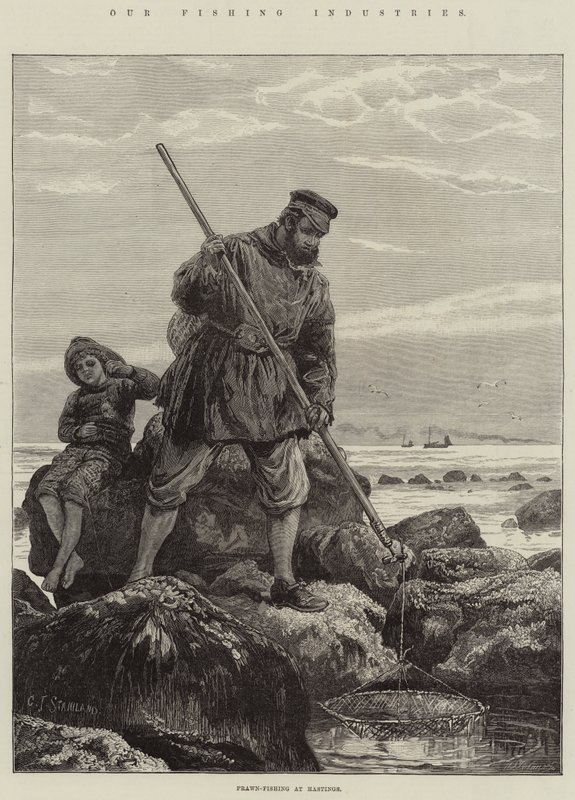Náš rybářský průmysl, lov krevet v Hastings od Charles J. Staniland
