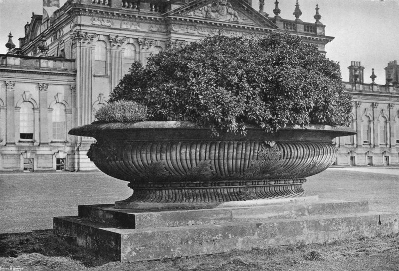 Kamenná váza (černobílá fotografie) od Charles Latham