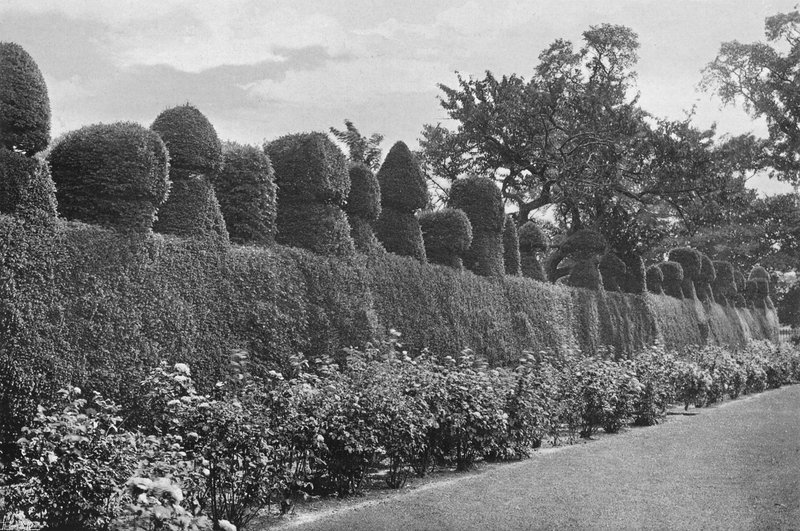 Fulford Hall: Excentrické topiární dílo od Charles Latham