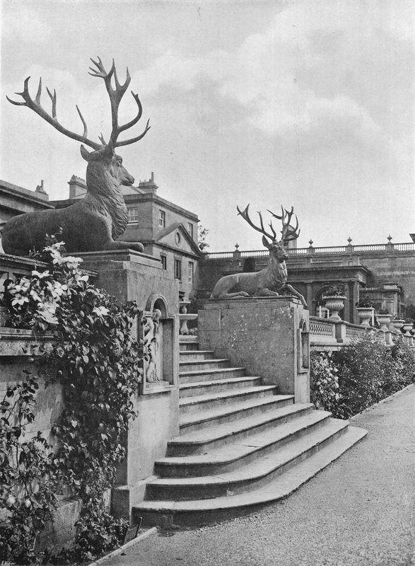 Stupně bronzu (č/b foto) od Charles Latham