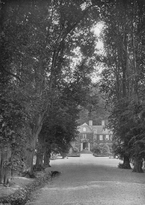 The Avenue (černobílá fotografie) od Charles Latham