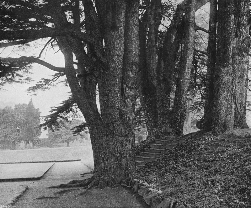 The Garden Steps (černobílá fotografie) od Charles Latham