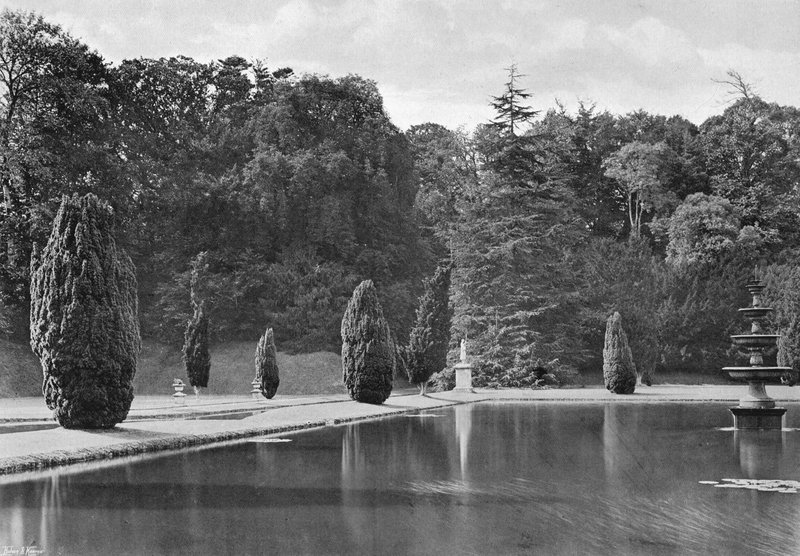 Stín tisu (černobílá fotografie) od Charles Latham