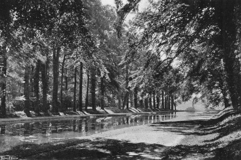 Rybník T (černobílá fotografie) od Charles Latham