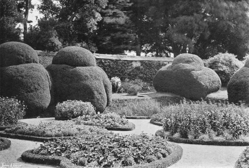 Pod stromem Ilex od Charles Latham