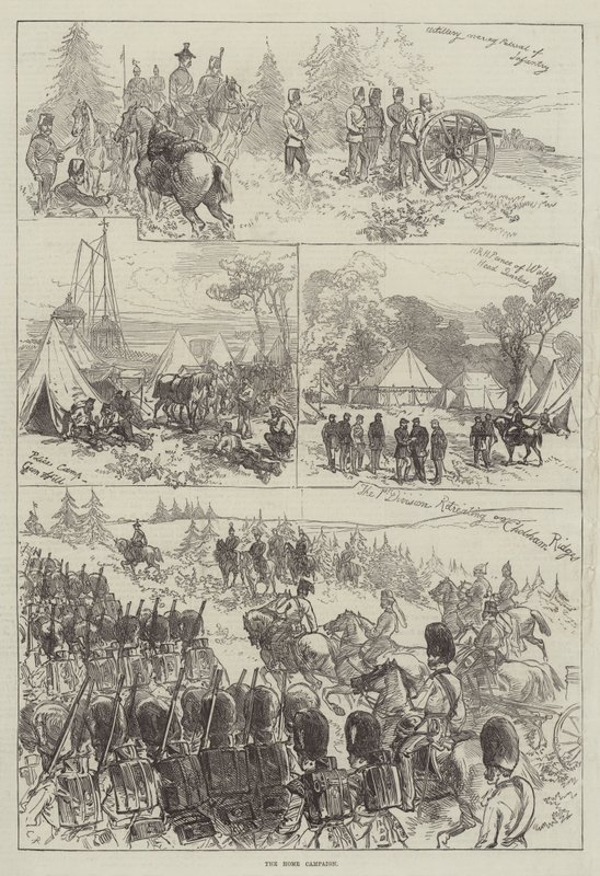 Domácí kampaň od Sir John Charles Robinson