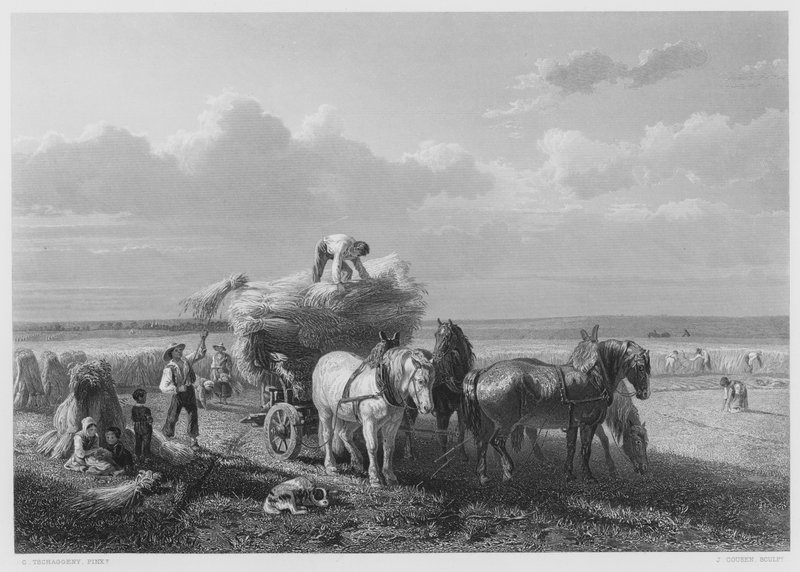 The Harvest-Field, z obrázku v Royal Collection (rytina) od Charles Tschaggeny