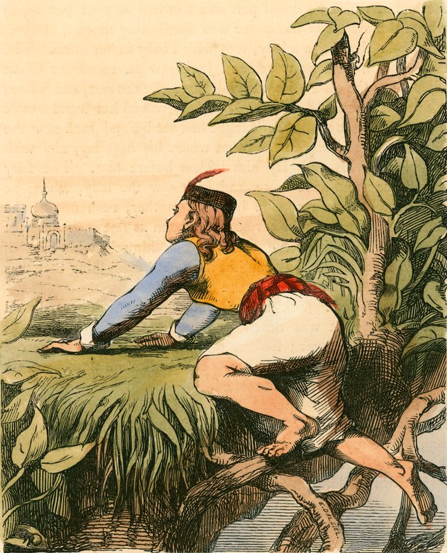 Jack na vrcholu Fazolového stonku od Charles West Cope