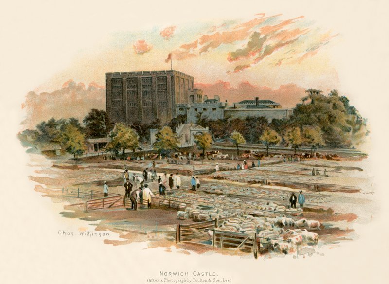 hrad Norwich od Charles Wilkinson