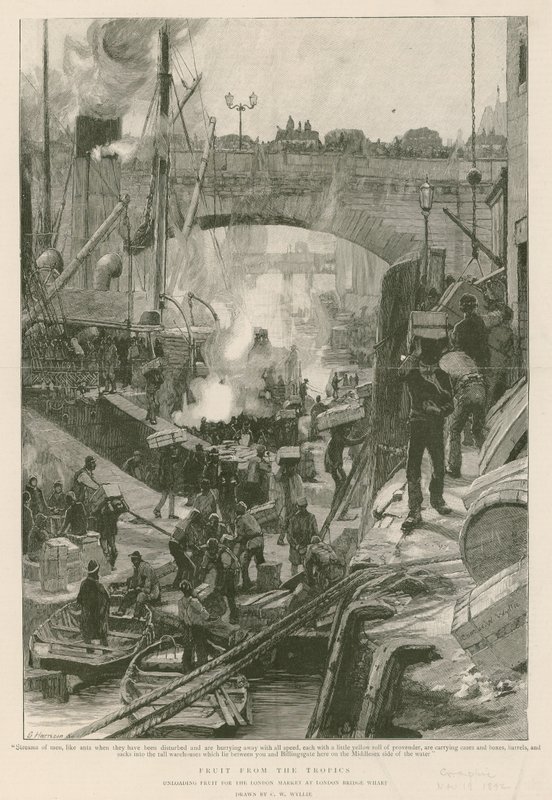 Ovoce z tropů (rytina) od Charles William Wyllie