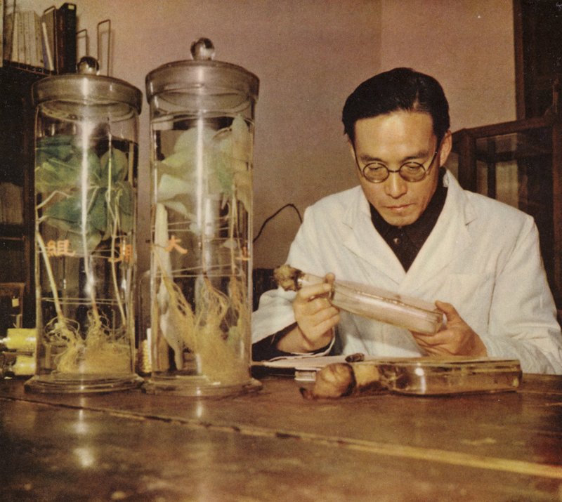 Čínský zemědělský chemik z Čchang-čchunského výzkumného institutu v Čínské lidové republice, 50. léta 20. století od Chinese Photographer