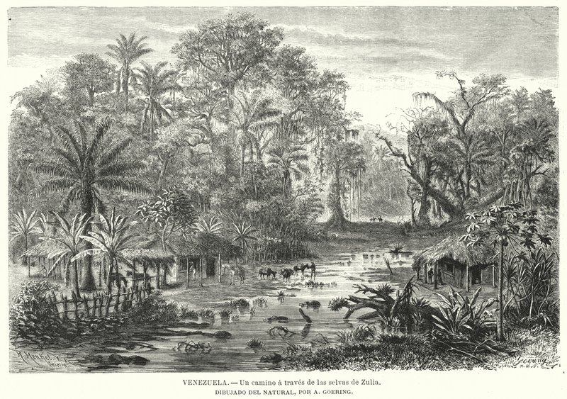 Cesta přes džungle Zulia, Venezuela (litho) od Christian Anton Goering