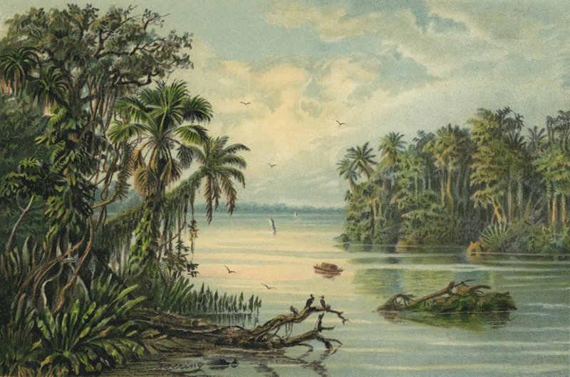 Deštný prales na dolním toku Amazonky, Brazílie od Christian Anton Goering
