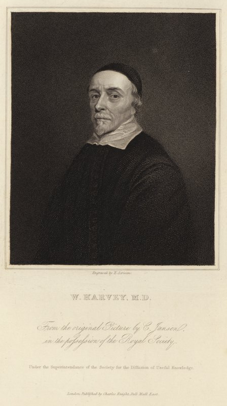 William Harvey od Cornelius Janssen van Ceulen