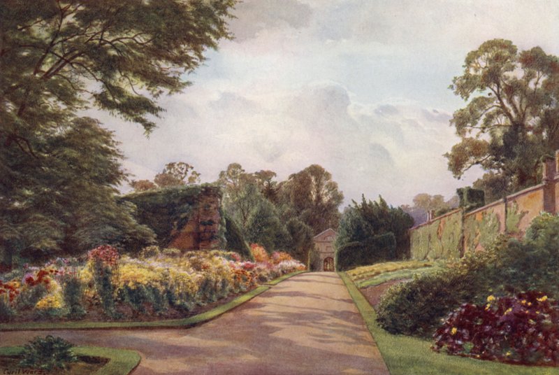 Rané chryzantémy, Claremont (barevné lito) od Cyril Ward