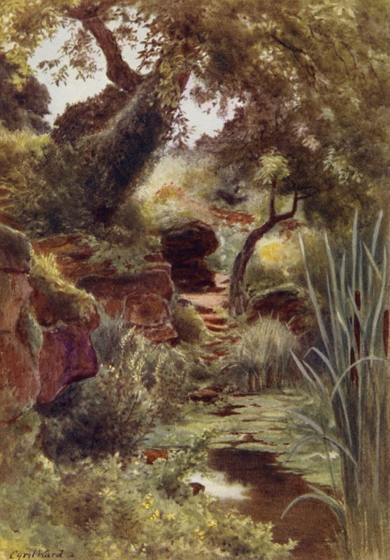 Část Rock Garden u Upper Lake, Sandringham (barevná litho) od Cyril Ward