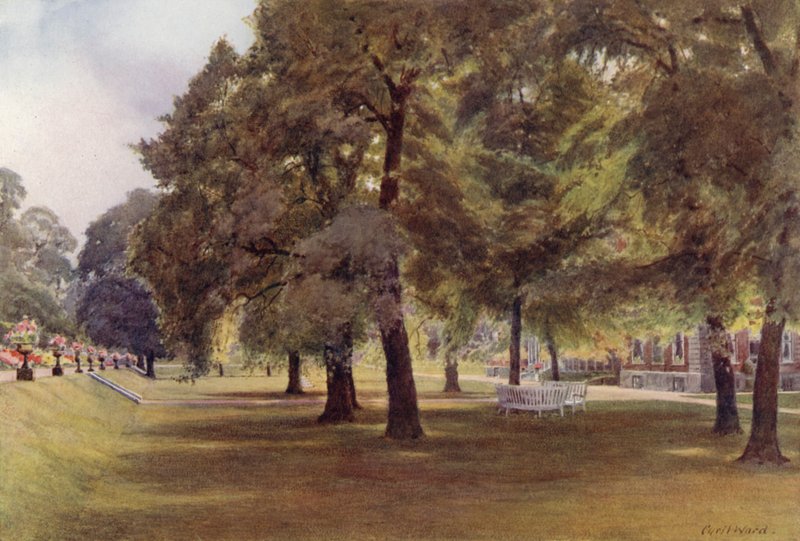 Stromy na trávníku v Marlborough House (barevné lito) od Cyril Ward