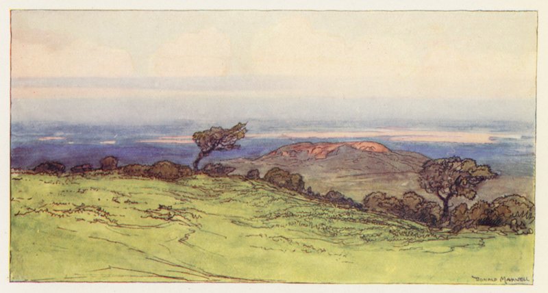 Přístav Poole z ostrova Purbeck (barevná litografie) od Donald (after) Maxwell