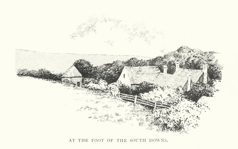 Na úpatí South Downs (litografie) od Duncan Moul