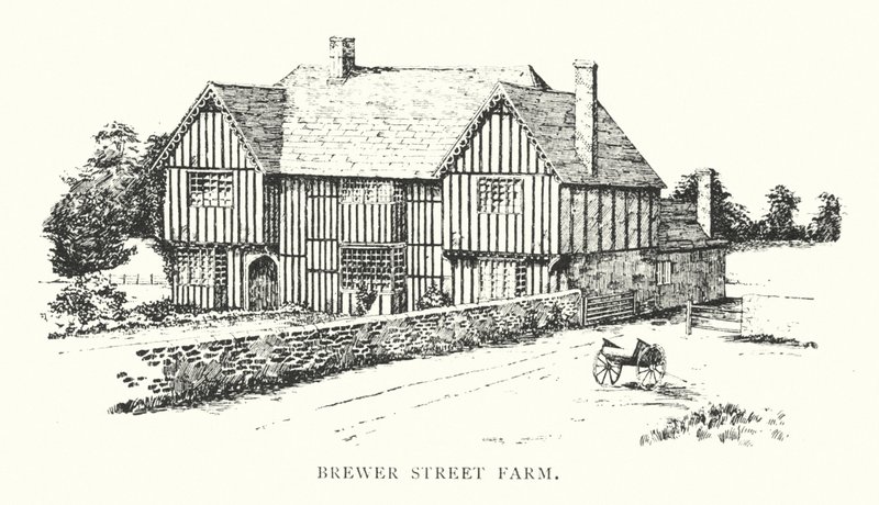 Brewer Street Farm (litografie) od Duncan Moul