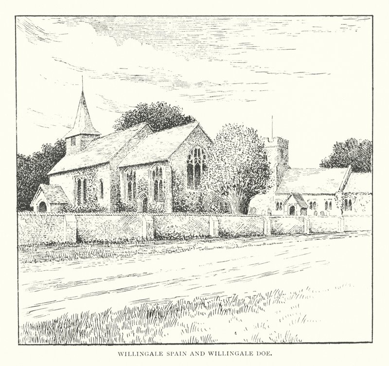 Willingale Spain a Willingale Doe (litografie) od Duncan Moul