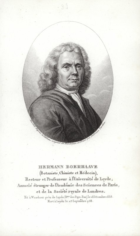 Herman Boerhaave od Dutch School