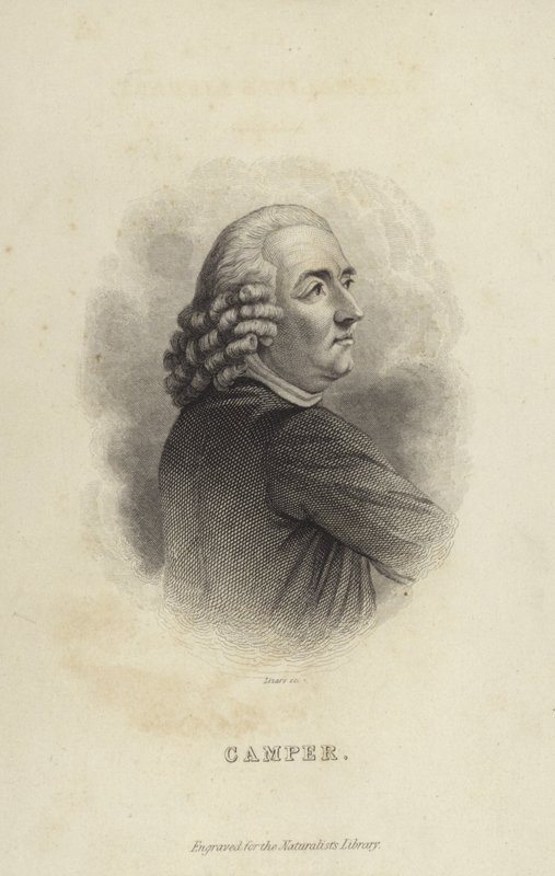 Peter Camper od Dutch School