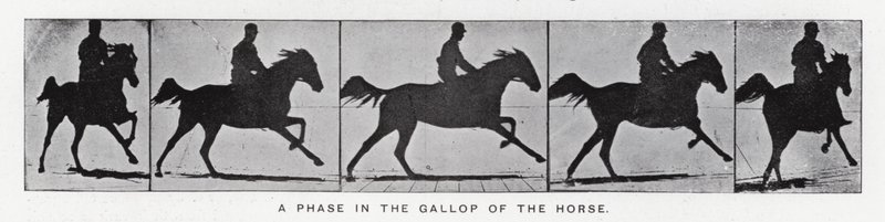 Eadweard Muybridge: Fáze ve cvalu koně (černobílá fotografie) od Eadweard Muybridge