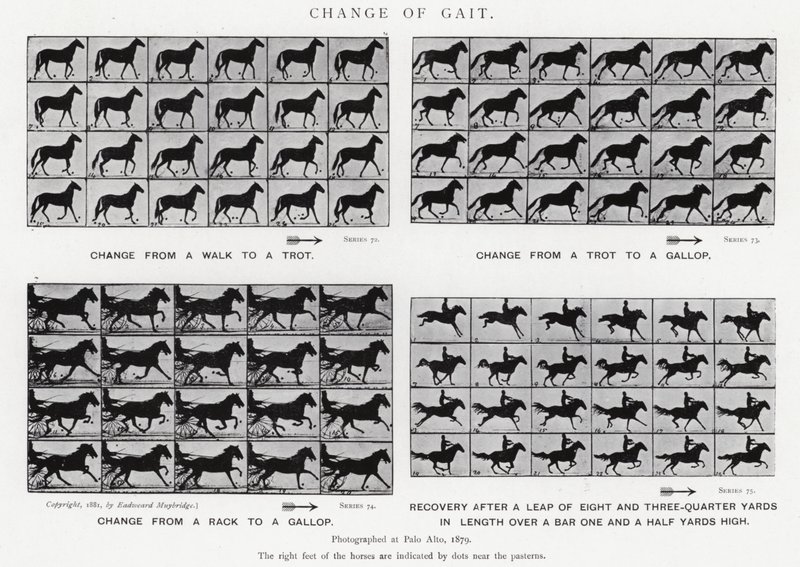Eadweard Muybridge: Změna chůze (č/b foto) od Eadweard Muybridge