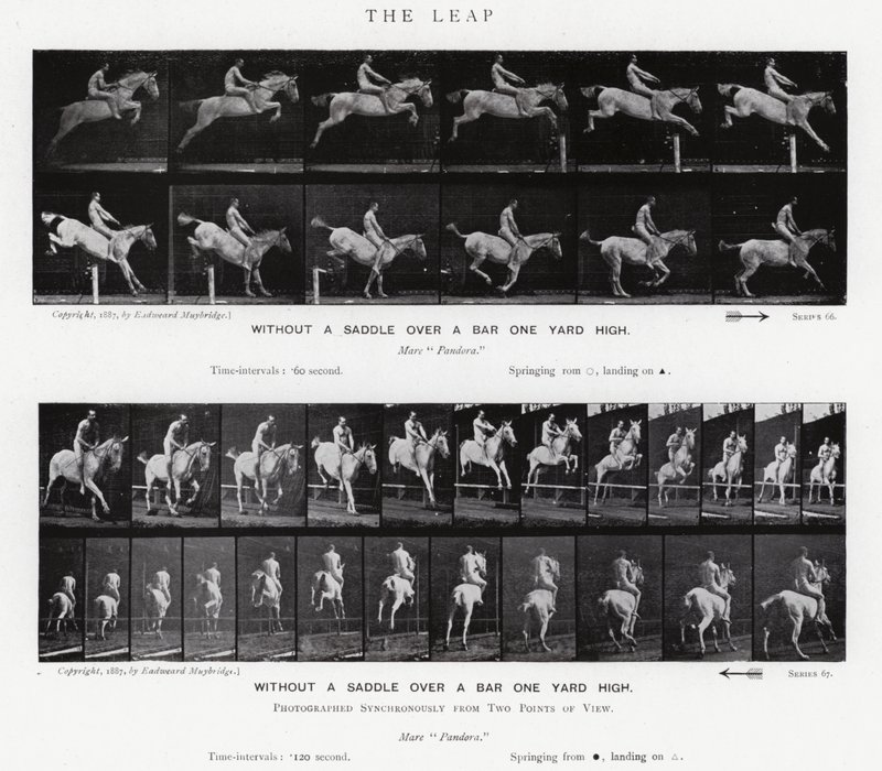 Eadweard Muybridge: The Leap (černobílá fotografie) od Eadweard Muybridge