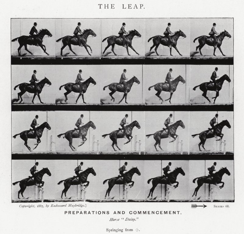 Eadweard Muybridge: The Leap (černobílá fotografie) od Eadweard Muybridge