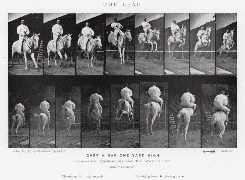 Eadweard Muybridge: The Leap (černobílá fotografie) od Eadweard Muybridge