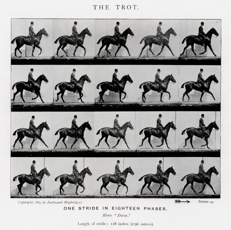 Eadweard Muybridge: Klus od Eadweard Muybridge