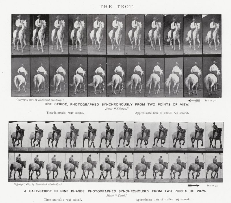 Eadweard Muybridge: Klus od Eadweard Muybridge
