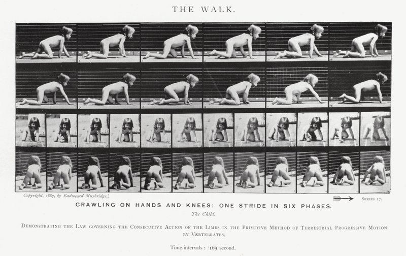 Eadweard Muybridge: The Walk (černobílá fotografie) od Eadweard Muybridge