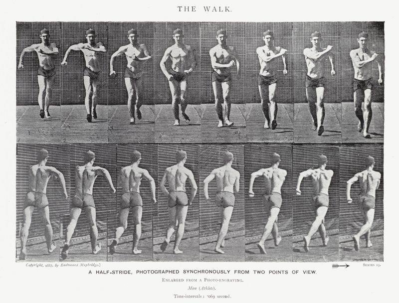 Eadweard Muybridge: The Walk (černobílá fotografie) od Eadweard Muybridge
