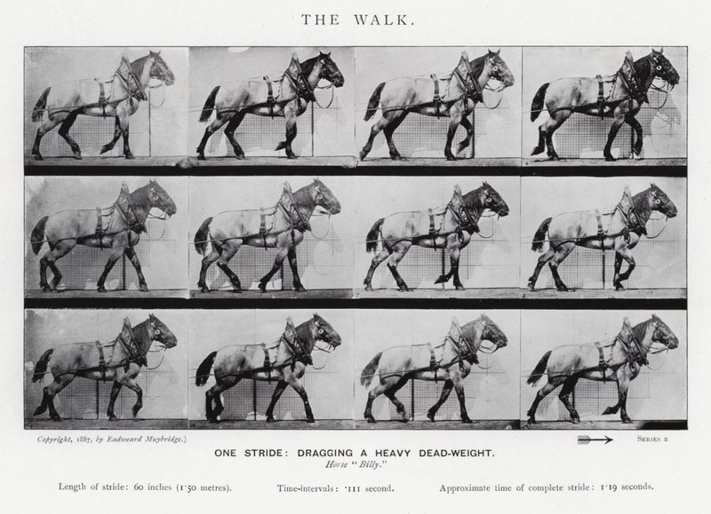 Eadweard Muybridge: The Walk od Eadweard Muybridge